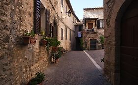 La casa di nonna Clara